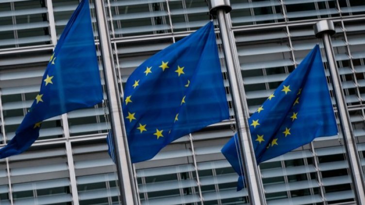 Снимка: архив, БГНЕС