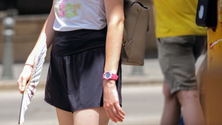 Снимка: архив, БГНЕС