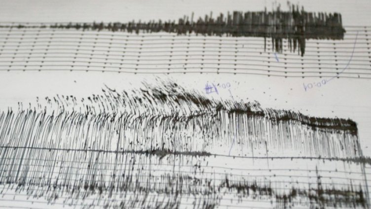 Снимка: архив, БГНЕС