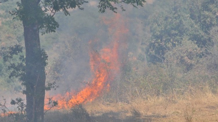 Снимка: БГНЕС, архив