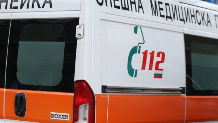 Снимка: архив, БГНЕС