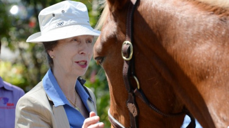 Снимка: архив, БГНЕС