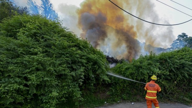 Снимка: архив, БГНЕС