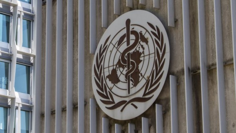 Снимка: архив, БГНЕС