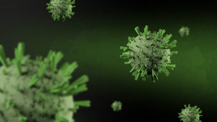 Снимка: Pixabay