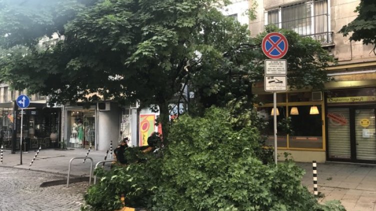 Снимка: БГНЕС