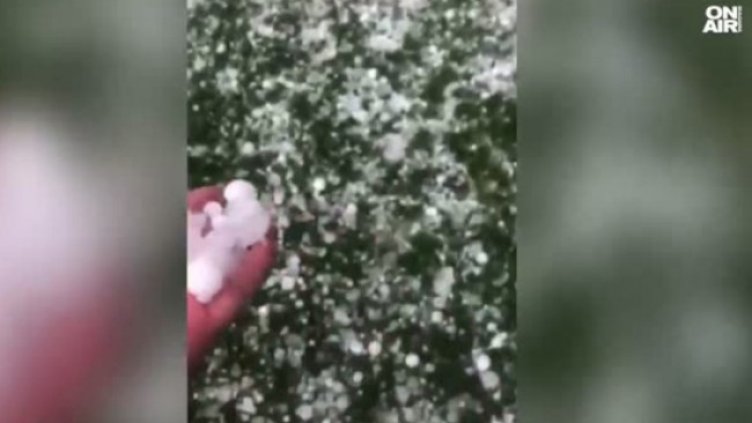 Снимка: Bulgaria ON AIR