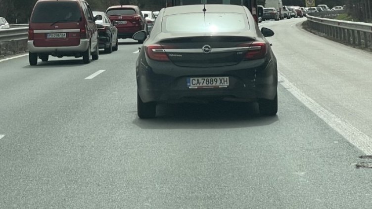 Снимка: БГНЕС, архив