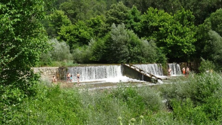 Снимка: архив, БГНЕС