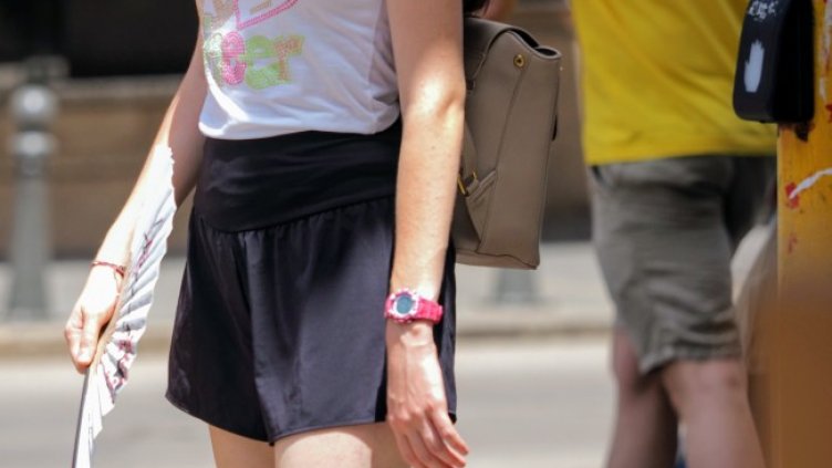 Снимка: архив, БГНЕС