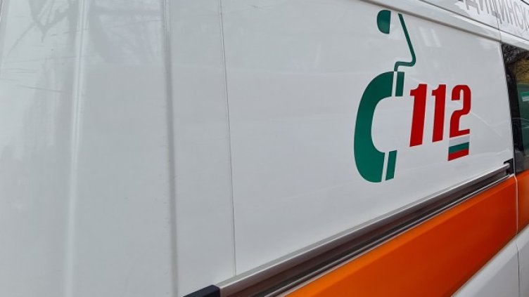 Снимка: архив, БГНЕС