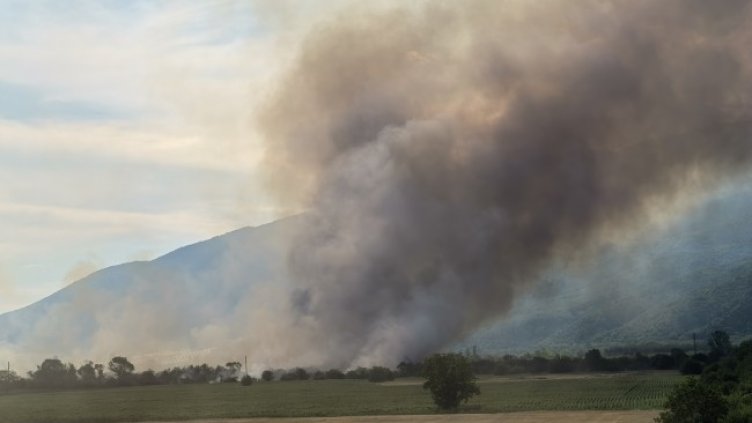 Снимка: БГНЕС