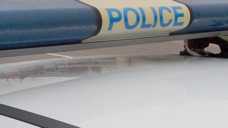 Снимка БГНЕС, архив