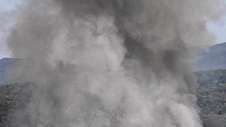 Снимка БГНЕС, архив