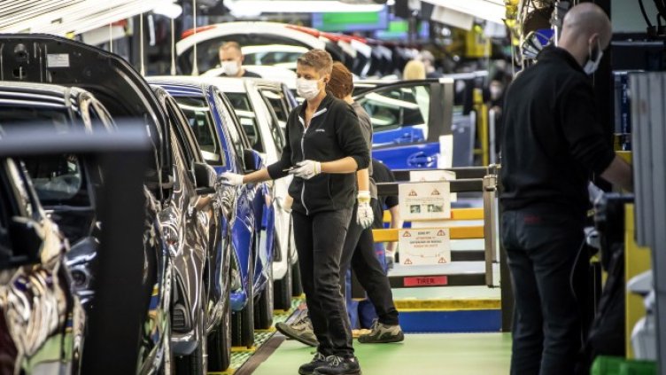 Снимка: архив, БГНЕС