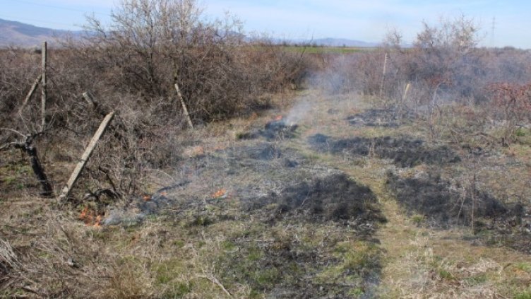 Снимка: БГНЕС