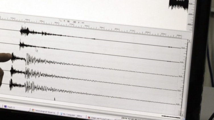 Снимка: архив, БГНЕС