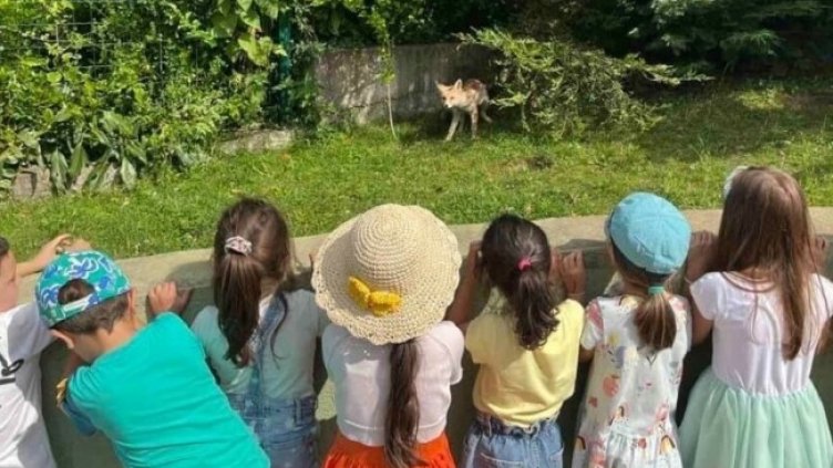 Снимка: Столична община, район Витоша