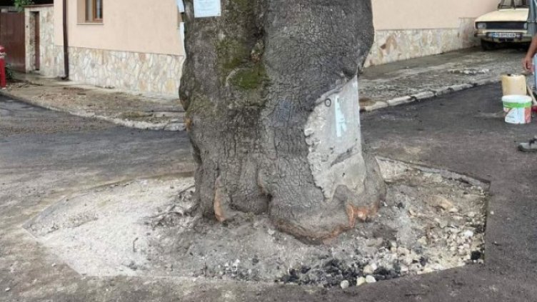 Снимка Фейсбук