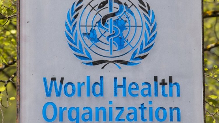 Снимка: архив, БГНЕС