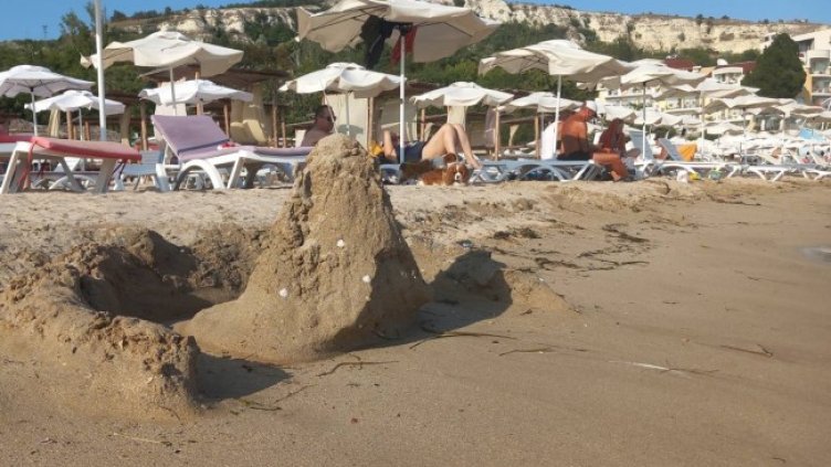 Снимка: архив, БГНЕС