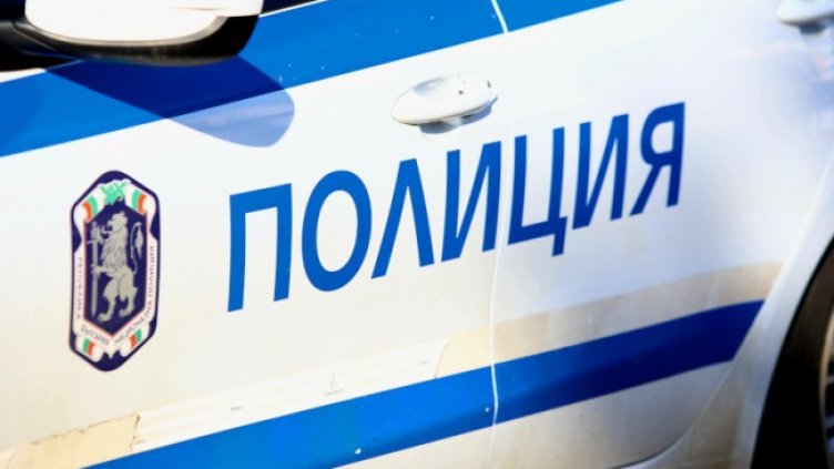 Снимка: архив, БГНЕС