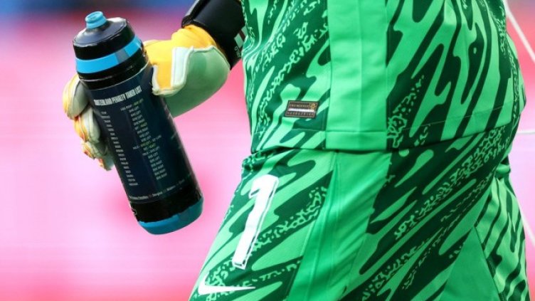 Снимка БГНЕС