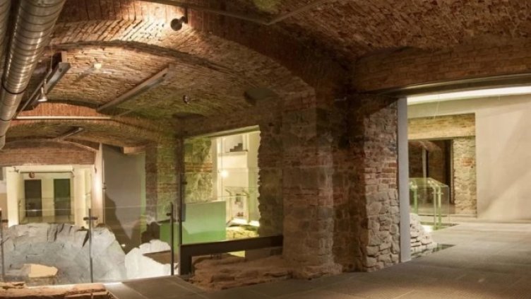 Снимка БГНЕС