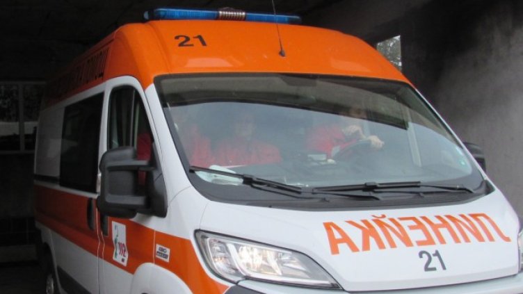 Снимка: БГНЕС, архив