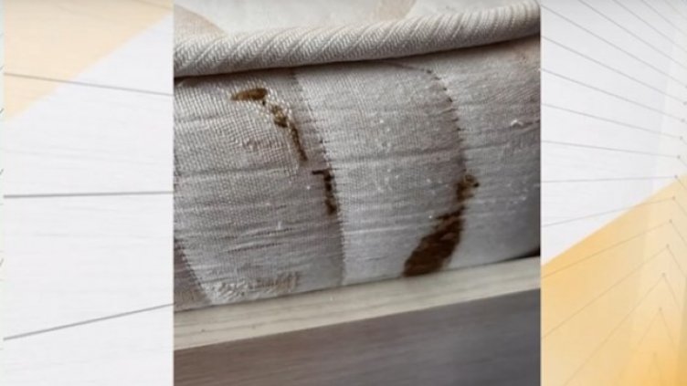 Кадър: Нова тв