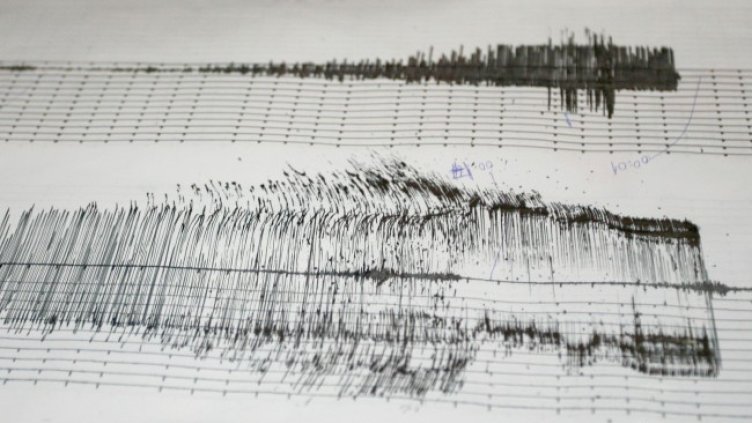 Снимка: архив, БГНЕС