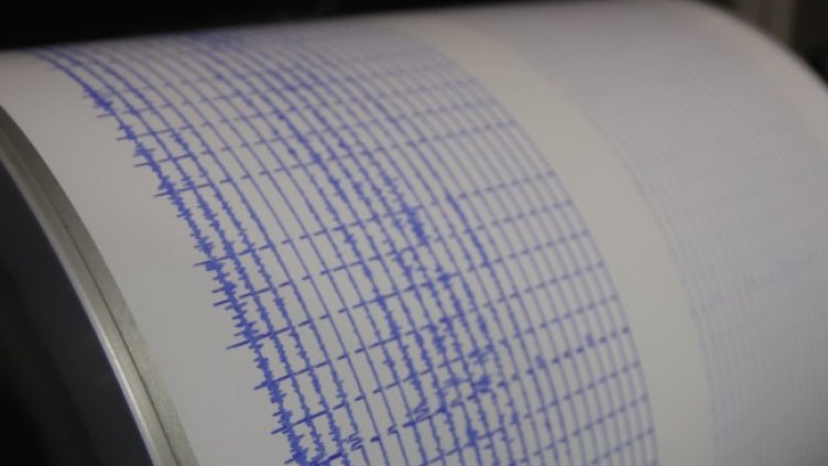 Снимка: архив, БГНЕС