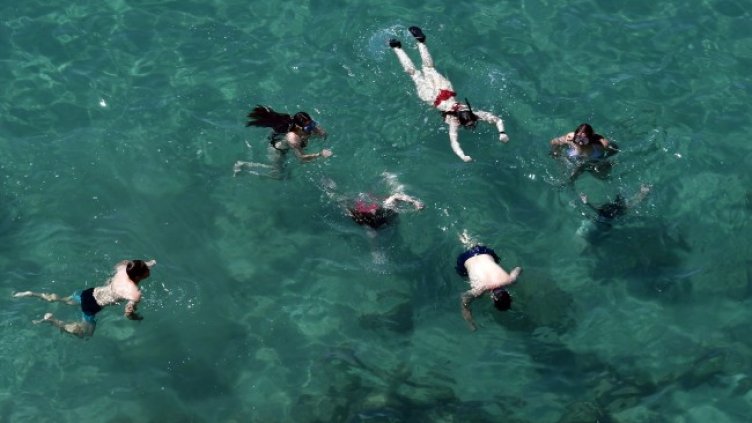 Снимка: архив, БГНЕС