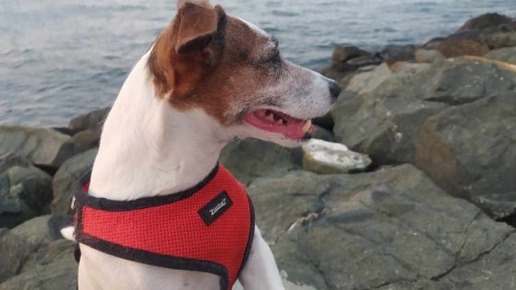 Снимка: Dnes.bg