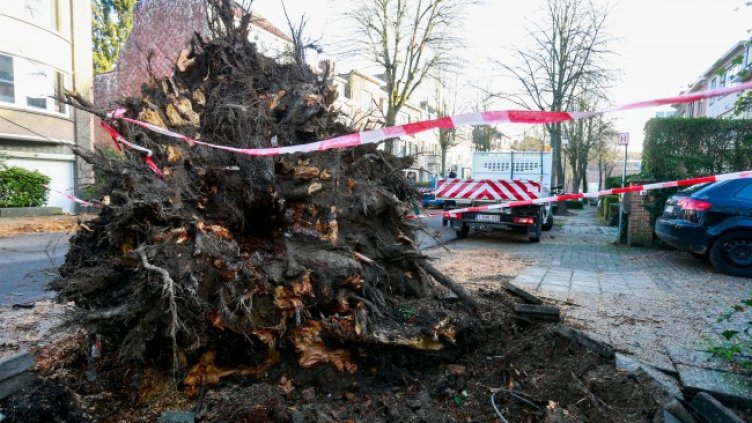 Снимка: архив, БГНЕС