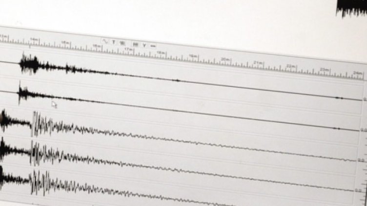 Снимка: архив, БГНЕС