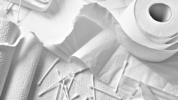 Снимка: Pixabay