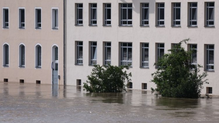 Снимка: архив, БГНЕС