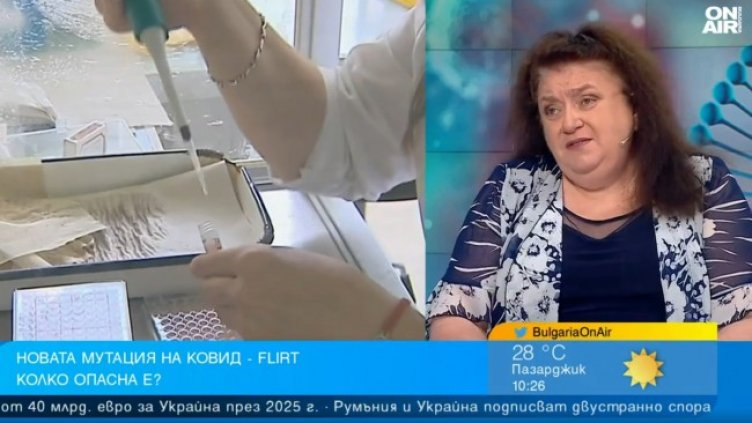 Снимка: Bulgaria ON AIR