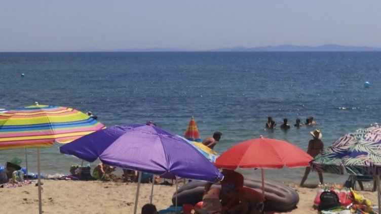 Снимка: архив, БГНЕС