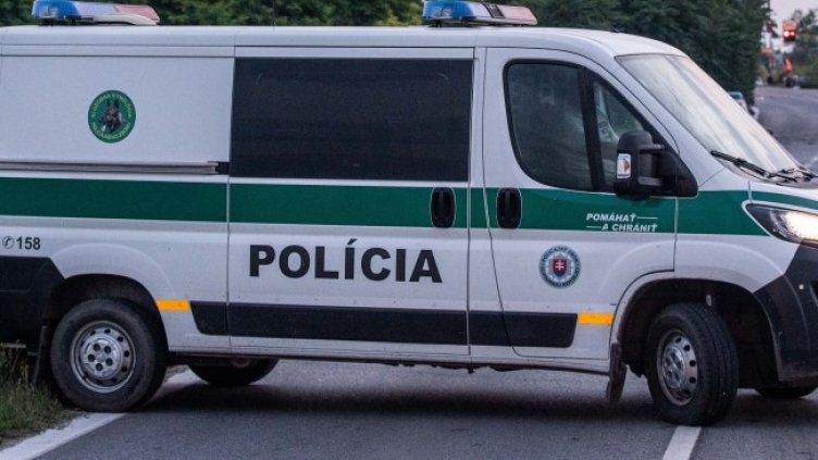 Снимка: архив, БГНЕС