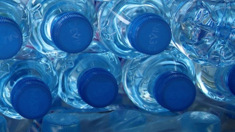 Снимка: архив, БГНЕС