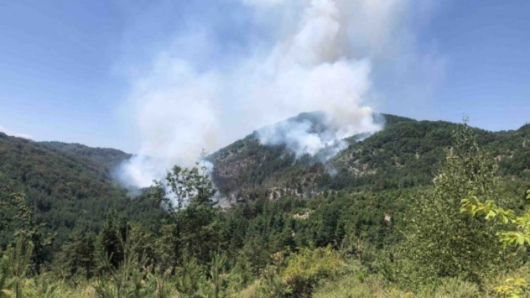 Снимка: БГНЕС