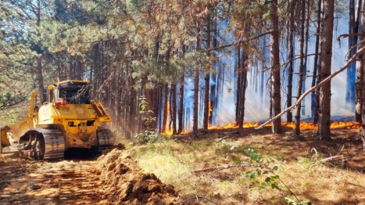 Снимка: БГНЕС