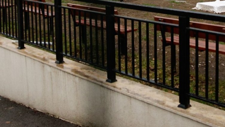 Снимка: архив, БГНЕС