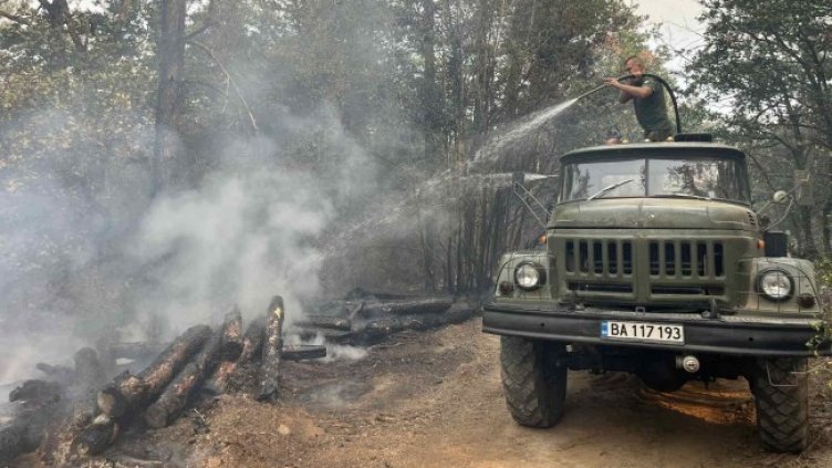 Снимка: архив, БГНЕС