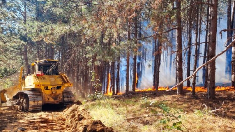 Снимка: БГНЕС