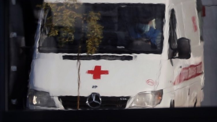 Снимка: архив, БГНЕС