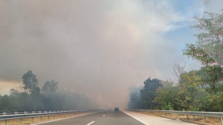 Снимка: БГНЕС