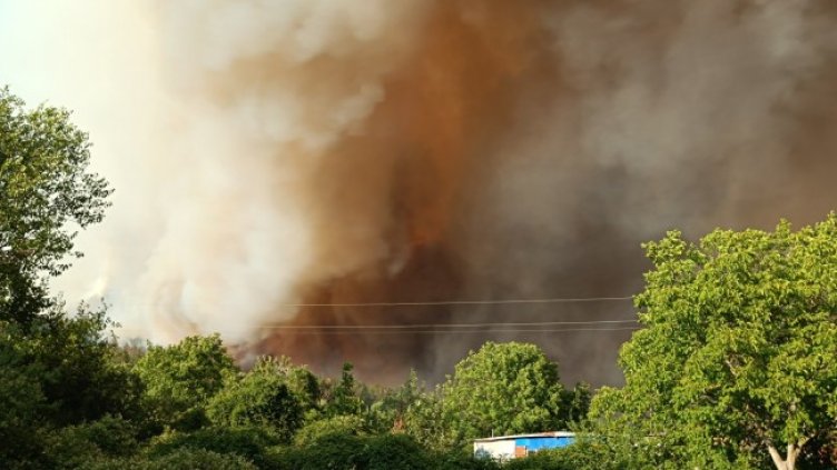 Снимка: БГНЕС